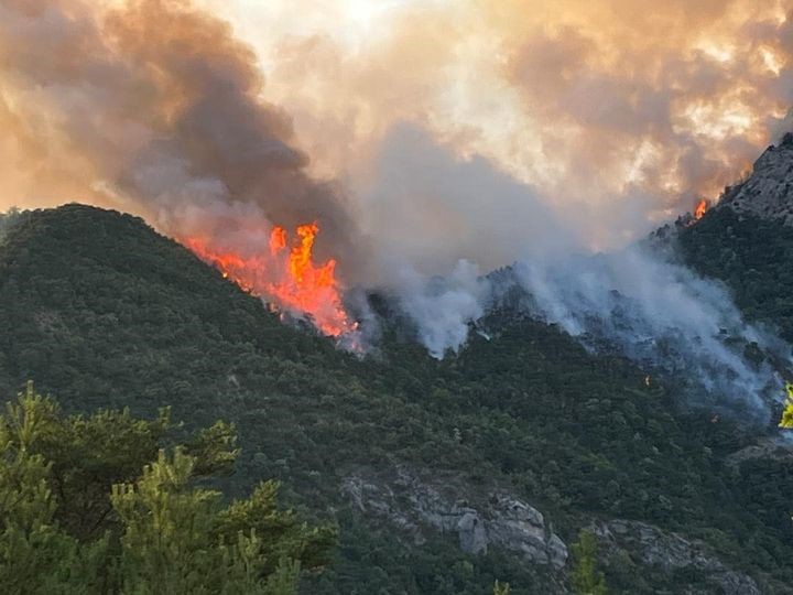 Incendie de Romeyer (26) été 2022.
                                                                                                                      Prise en compte de la situation PUIS action
