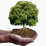 AA-01 – Optimiser l’impact des formations